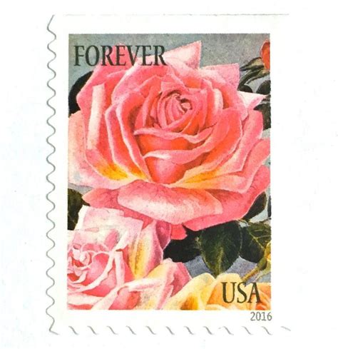 10 Pink Rose Forever Postage Stamps Unused Vintage Botanical | Etsy | Vintage postage stamps ...