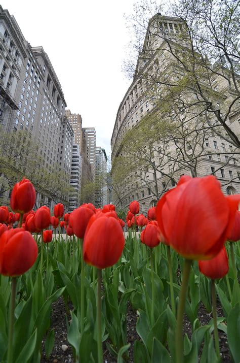 Bowling Green Park, 04.23.17 | A walk along Broadway on 04.2… | Flickr