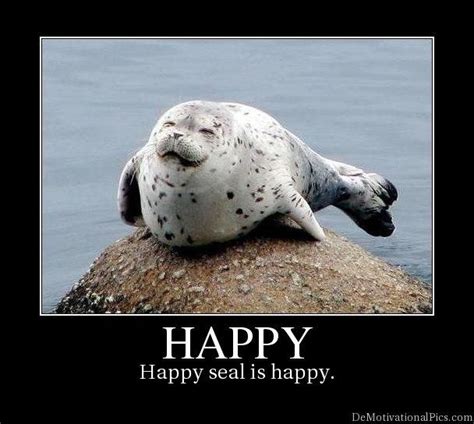 happy seal is happy Seal Pup, Baby Seal, Baby Animals, Funny Animals, Cute Animals, Cute Seals ...