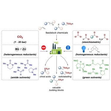 The road to industrialization of fine chemical carboxylation reactions