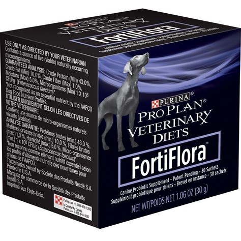 Are Probiotics Safe for Dogs? | House Fur