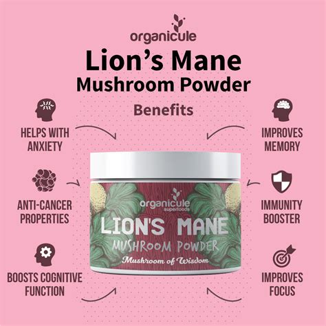 Organic Lion's Mane Mushroom Extract Powder by Organicule