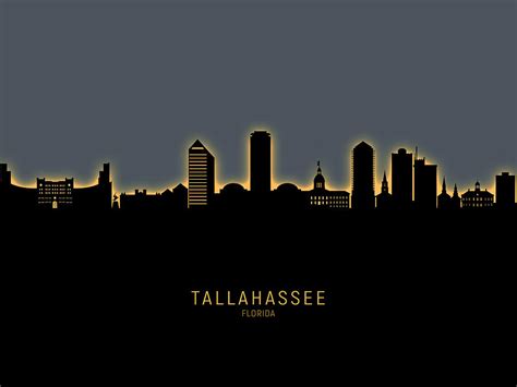 Tallahassee Florida Skyline Digital Art by Michael Tompsett