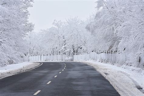 Climate change could increase the frequency of severe ice storms • Earth.com