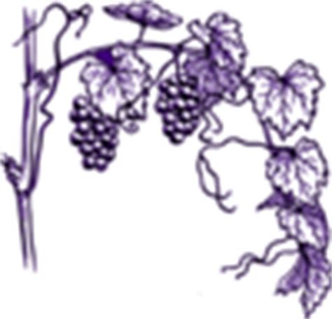 Purple Grape Vine Clip Art at Clker.com - vector clip art online, royalty free & public domain