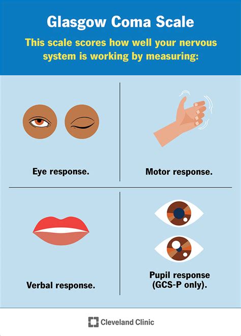 Glasgow Coma Scale Avpu Alert Verbal Stock Vector (Royalty, 59% OFF