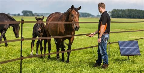 How To Set Up Electric Fencing for Horses