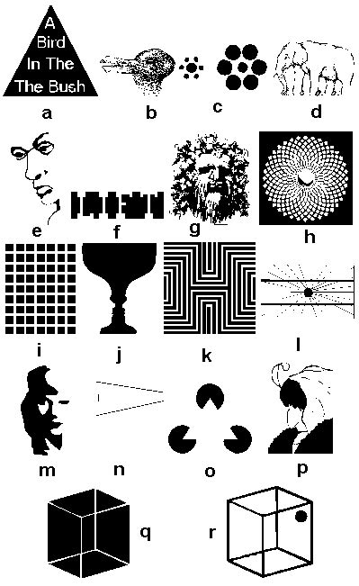 Optical Illusions - Teaching Ideas