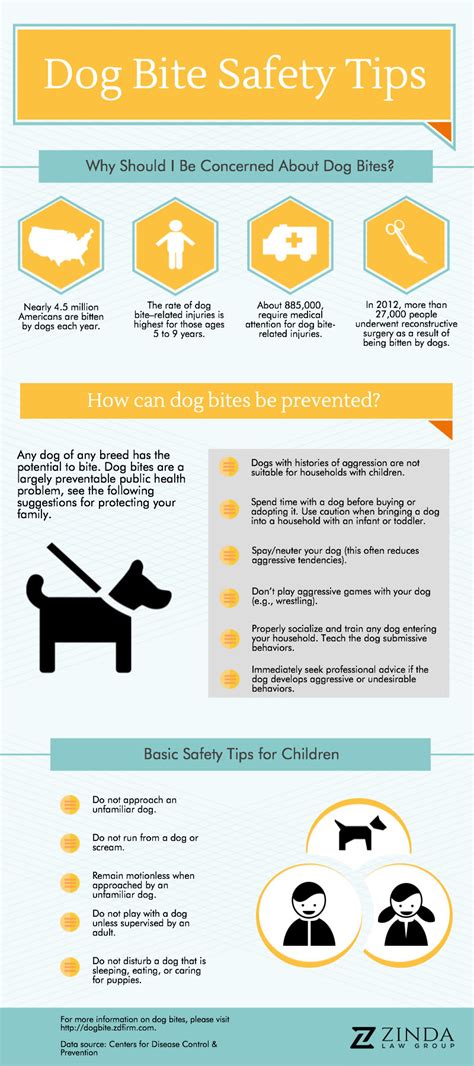 dog-bite-safety-tips_53879d7db6a78 | Zinda Dog Bite Lawyers