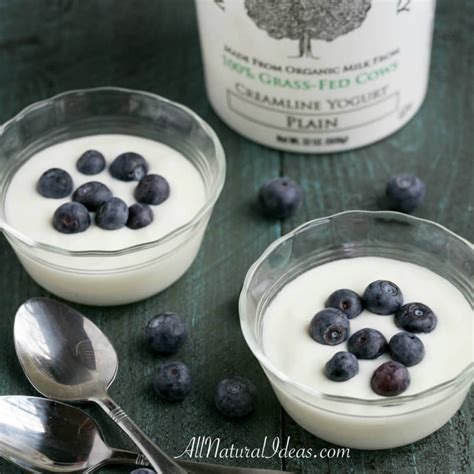 Low Carb Yogurt Options for a Keto Diet | All Natural Ideas