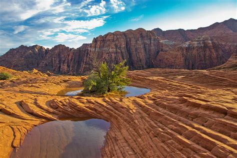 Snow Canyon State Park - Greater Zion