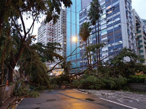 Typhoon Mangkhut: Hong Kong’s claims breakdown