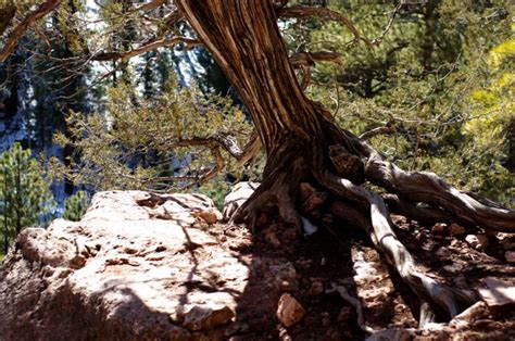 17 Best Hikes in Flagstaff to Reconnect You with Nature - Flavorverse