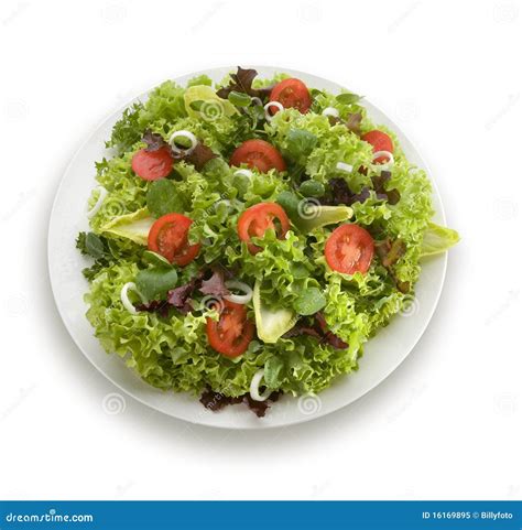 Healthy garden salad stock image. Image of plate, isolated - 16169895