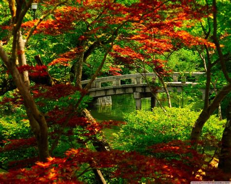 Autumn Kyoto Wallpapers - Wallpaper Cave