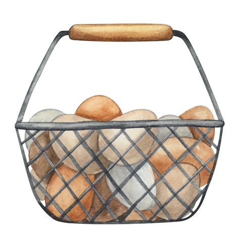 Premium Vector | Metal basket with eggs Farm life drawing Watercolor illustration on a white ...