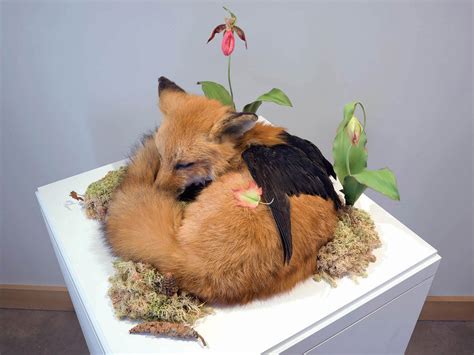 10 Rogue Taxidermy Artists Who Create Imaginative Sculptures | Scene360