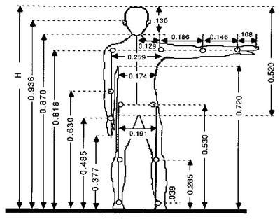 This is an example of anthropometry.