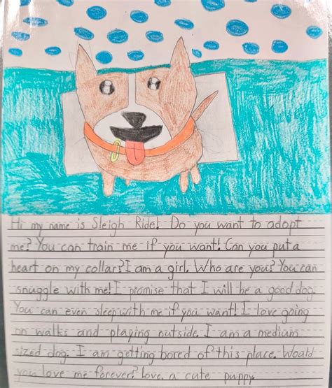 Students write ‘heartwarming’ shelter dog stories