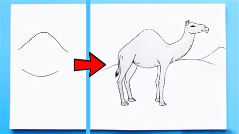 How to Draw a Camel Easy Step by Step | Easy Camel Drawing