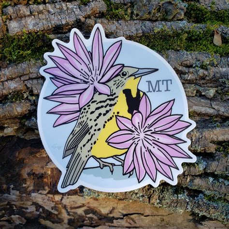 Montana State Bird and Flower. Western Meadowlark and | Etsy