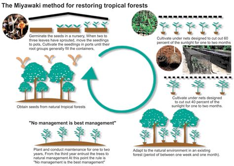 Daily Current Affairs on Guwahati Refinery carries out Akira Miyawaki method of afforestation ...