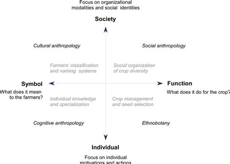 Diagrammatic representation of the main fields of anthropology that... | Download Scientific Diagram