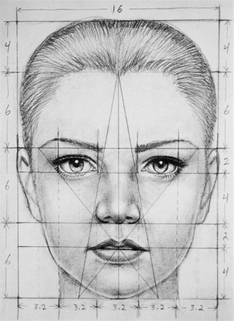 пропорции | Portrait drawing, Sketches, Face drawing