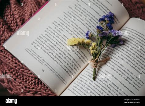 Closeup of dried wildflowers on an open book - perfect for aesthetic backgrounds Stock Photo - Alamy