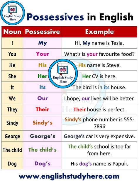 Forming the Possessives - Possessives in English | English writing skills, English study, Good ...