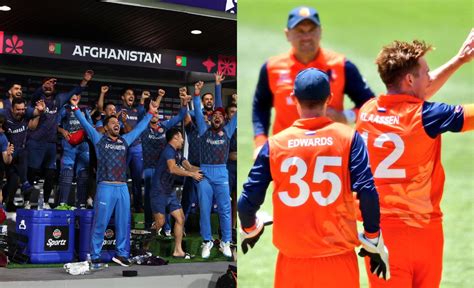 ICC World Cup: 3 shock upsets of 2023 edition, see how minnows ...