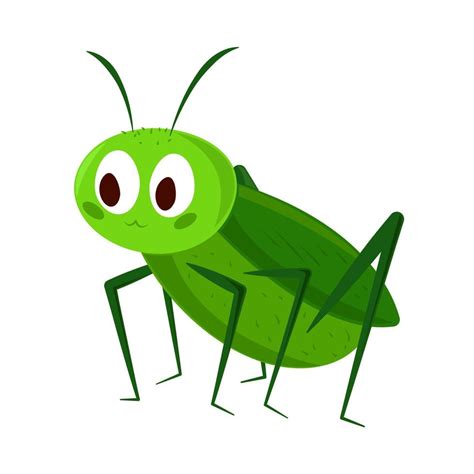 cricket insect cartoon 14217509 Vector Art at Vecteezy