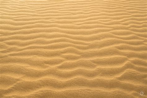 Free photo: Desert sand texture - Abstract, Ripples, Wavy - Free Download - Jooinn