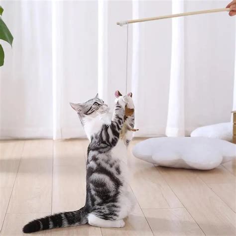 Cat Animal Plush Feathers Toy Teaser Wand Feather Playing Cat Toys For ...