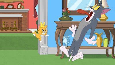 Watch The Tom & Jerry Show Season 2 Episode 9 - Smitten With The Kitten Online Now