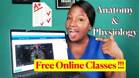 Take This Free Online Anatomy and Physiology Class to Master the Course ...