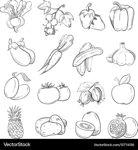 Fruits And Vegetables Drawing Pictures - Vegetarian Foody's