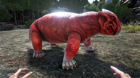 Lystrosaurus - Official ARK: Survival Evolved Wiki