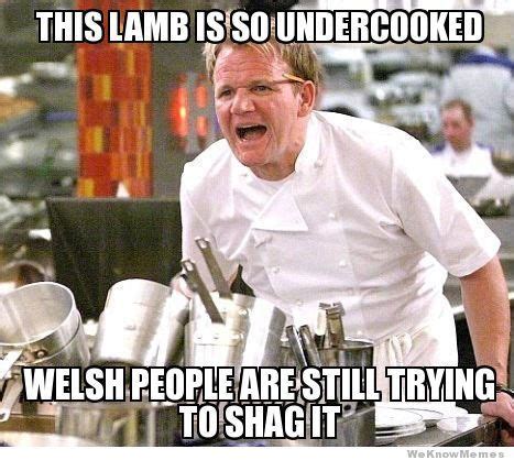 Gordon Ramsay Meme Undercooked