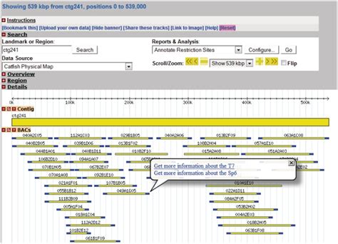 Catfish BAC-based physical map. Catfish BAC contigs are viewable and ...