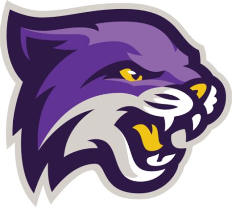 Bethel University Wildcats | MascotDB.com