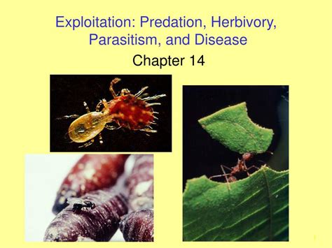 PPT - Exploitation: Predation, Herbivory, Parasitism, and Disease ...