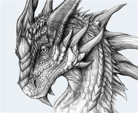 FREE 21+ Realistic Dragon Drawings in AI