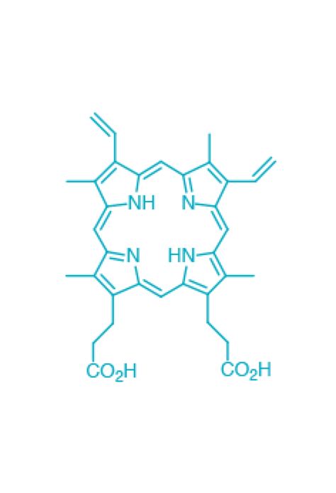 CAS 553-12-8 protoporphyrin IX PorphyChem