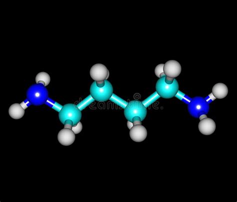 Putrescine Foul Smelling Molecule. Skeletal Formula. Stock Vector ...