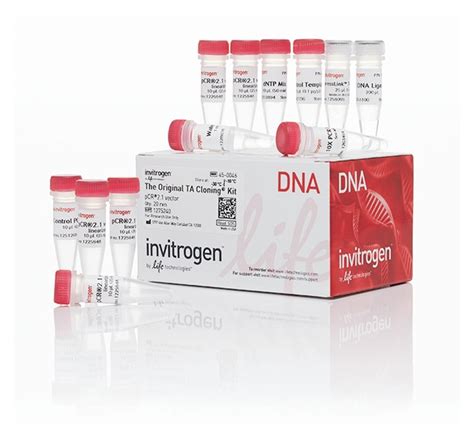 Invitrogen™ TA Cloning™ Kit, with pCR™2.1 Vector, without competent cells | Fisher Scientific