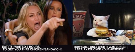 Eat it! - Popeye's Chicken Sandwich. | Woman Yelling at a Cat | Popeyes chicken, Chicken ...