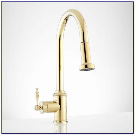 Pictures Of Older Moen Kitchen Faucets - Faucet : Home Design Ideas #B1PmK91bD6146109