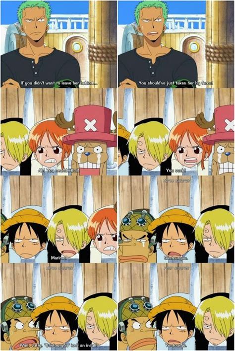 Luffy tries to insult Zoro One Piece Funny Moments, One Piece Meme, One ...