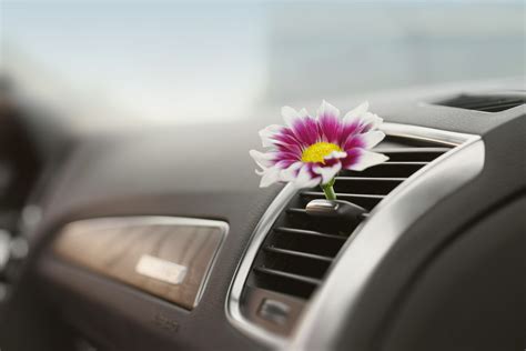 How to Keep Your Car Smelling Fresh – My Chill Thoughts – Learn How to Live Life Peacefully